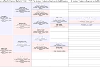 research your family tree