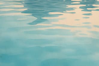 coach you to swim confidently with step by step training
