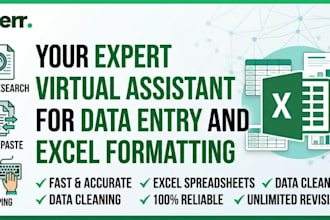 be your expert data entry and excel formatting