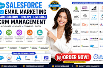 set up salesforce email marketing ai automation b2b API live chat CRM management