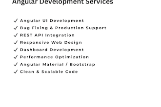 develop, fix, and optimize angular web applications
