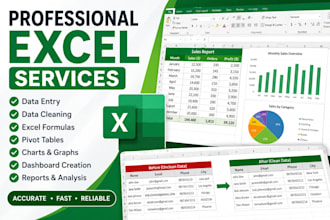 do excel data cleaning, formatting and remove duplicates