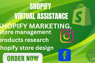 do shopify ecommerce store virtual assistance