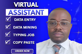 do data entry, copy and paste, file conversion