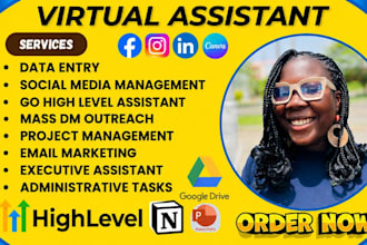 instagram assistant email assistant canva virtual assistant admin support
