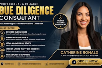 do professional due diligence services  business, legal  financial analysis