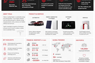 design company overview infographics and business snapshots
