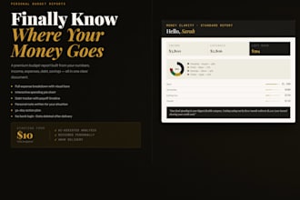 create a professional personal budget report and monthly spending tracker