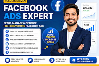 be your agency facebook and instagram ads manager