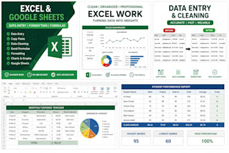do professional excel data entry and spreadsheet work