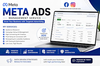 do facebook ads campaign setup and management