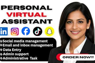 be your personal assistant, executive assistant for data entry
