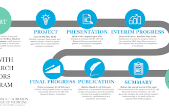 create professional academic or medical infographics