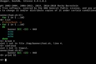 provide desktop support for linux desktops