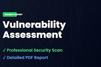 perform a website vulnerability assessment and security scan
