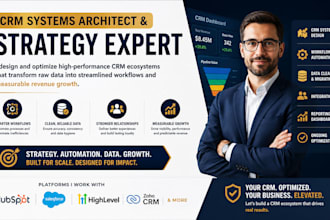 crm systems architect and strategy expert