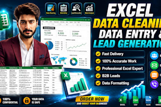 do excel data cleaning, formatting, data entry and lead generation