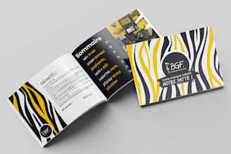 design a professional brochure, catalog or magazine