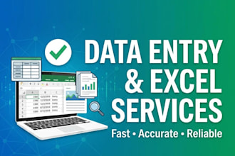 ido data entry and excel work accurately and fast