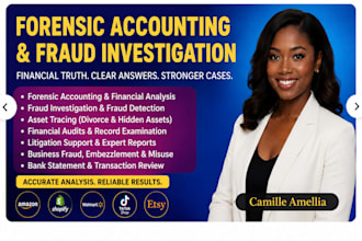 do forensic accounting, fraud investigation, asset tracing, financial audit