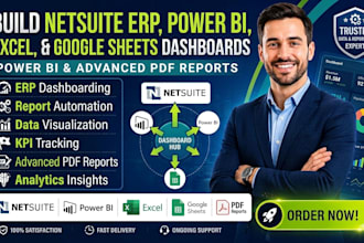 build netsuite erp power bi dashboard excel google sheets advanced PDF reports