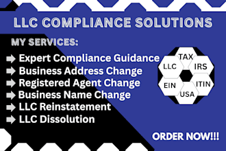 handle llc dissolution, amendment and reinstatement in all states