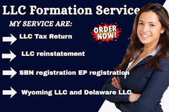 file wyoming llc, delaware llc, franchise tax, reinstatement