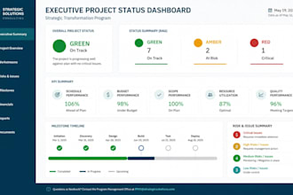 create executive project status reports and pmo dashboards