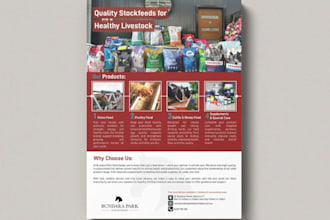 design business training flyer promotional postcard marketing brochure