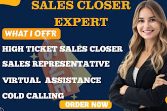 sales closer highticket sales b2b lead and sales representative salesperson