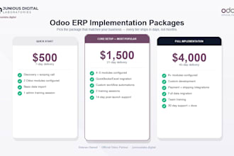 implement and customize odoo erp for your business