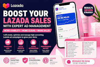 setup and manage lazada ads campaign and store promotion