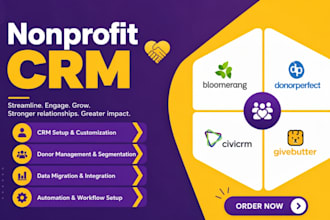 bloomerang donorperfect civicrm givebutter kindful neon bonterra salesforce