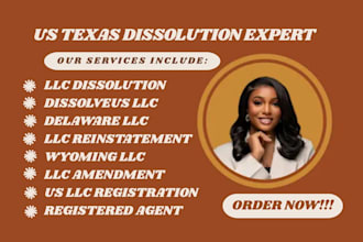 handle your llc registration, delaware, wyoming, texas llc formation, amendment