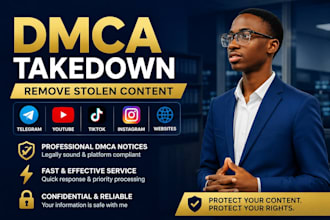 file professional dmca takedown notices to remove stolen content