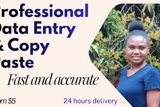 professional data entry, copy paste, and web research
