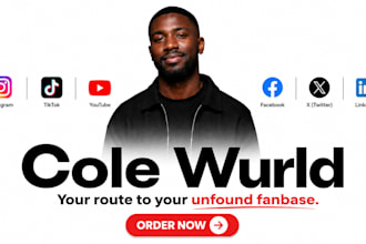 be monthly social media manager for music artist