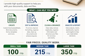 do accurate data entry and excel spreadsheet work