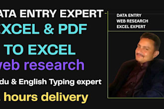 urdu english typing PDF to word expert 1 hour delivery