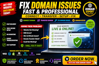 fix domain issues, connect domain, transfer, and setup your website domain