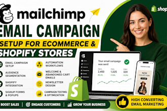 do mailchimp email campaign setup for ecommerce and shopify stores