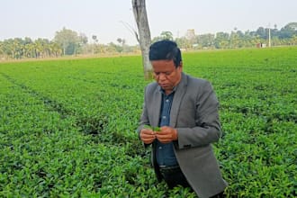do agriculture data entry and excel reporting