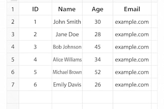 be your expert virtual assistant for data entry and exce