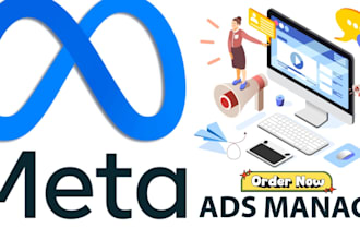 manage your facebook meta ads, instagram ads, meta ads entirely