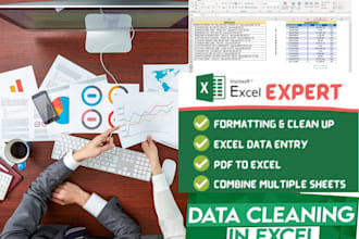 clean, organize, merge and format excel data entry