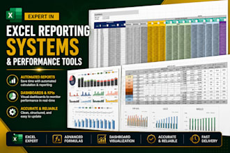build excel reporting systems and performance tracking tools