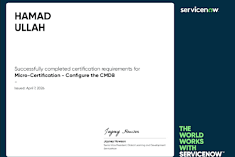 be your senior servicenow developer