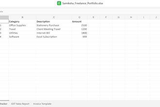 do excel reporting, accounting support, and data entry