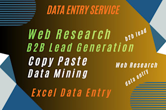 be your virtual assistant for data entry, data mining, copy paste