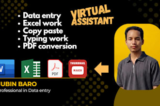 do accurate data entry, data cleaning, excel work and typing